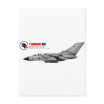 AG 51 Immelmann Tornado IDS NTM 2008 Post Card