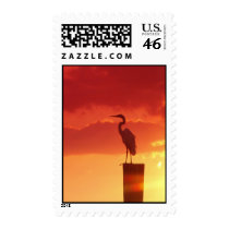Against A Red Sky postage