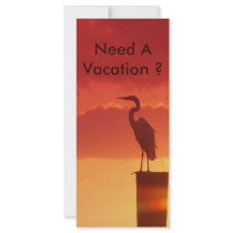 Against A Red Sky rack cards