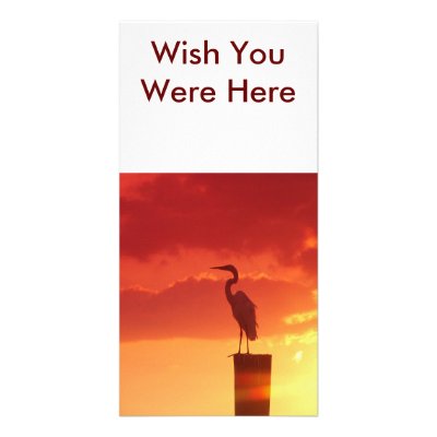 Against A Red Sky, Wish You Were Here Photo Card by Debrene