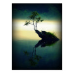 Against All Odds - Beautiful Tree Photograph Postcard