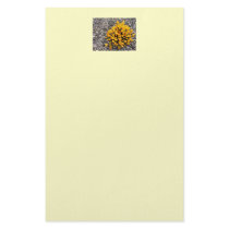 Against All Odds Stationary stationery