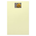 Against All Odds Stationary Personalized Stationery