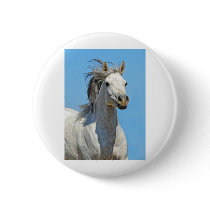 Against the blue sky pin