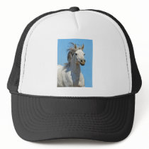 Against the blue sky trucker hat