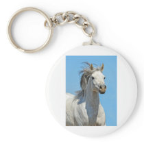 Against the blue sky keychains
