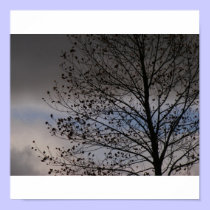 Against the Sky posters