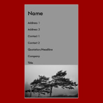 Against The Wind Business Card. business cards