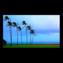 "Against the Wind" poster posters