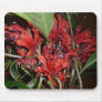 Agalmyla parasitica mousepads