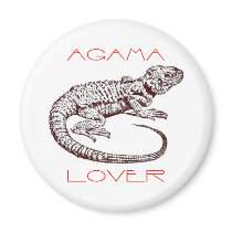Agama lover reptile magnet