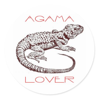 Agama lover sticker by burntright