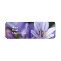 Agapanthus Africanus, NameStreetCity, State Zip labels