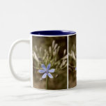 agapanthus blue coffee mugs