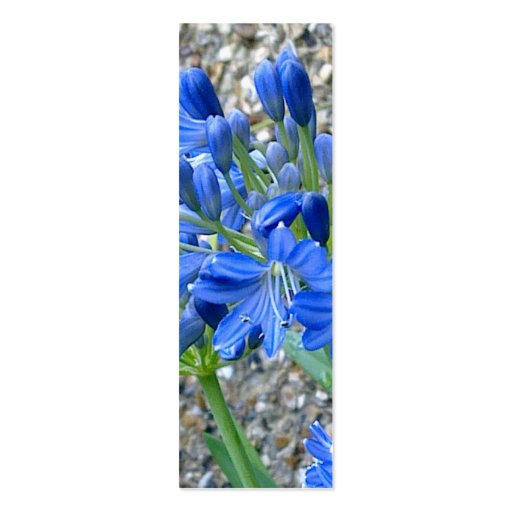 Agapanthus Bookmark Business Card (back side)