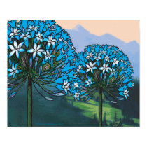Agapanthus mountain poster posters