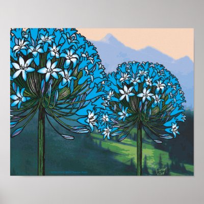 Agapanthus mountain poster by Duncan_Reed