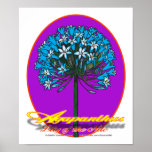 Agapanthus poster