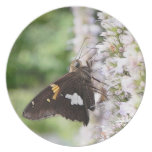 Agastache And Skipper Butterfly Plates