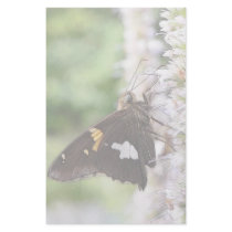 Agastache And Skipper Butterfly Stationery