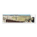 Agate Bridge At The Petried Forest Natural Park Bumper Sticker