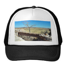 Agate Bridge At The Petried Forest Natural Park Trucker Hat