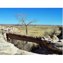 Agate Bridge At The Petried Forest Natural Park photo sculptures