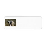 Agate fossil beds park items fossil tree custom return address labels