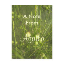 Agatha Post Card