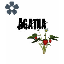 Agatha t-shirts