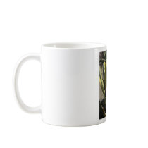 Agave Americana - Maguey mugs