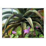 Agave and African Violets Greeting Card