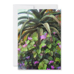 Agave and African Violets Personalized Announcement