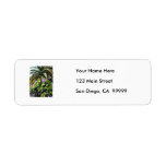 Agave and African Violets Custom Return Address Labels