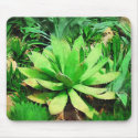 Agave attenuata mousepads by palmimages Agave attenuata mousepads