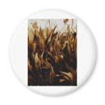 Agave By Bernadette Sebastiani Fridge Magnet
