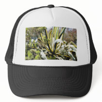 Agave Cactuses hats by lifesphere Agave Cactuses hats