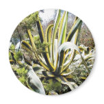 Agave Cactuses Magnet