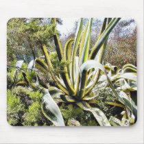 Agave Cactuses mousepads