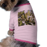 Agave Cactuses Pet Clothes
