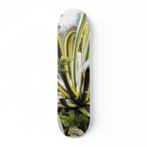 Agave Cactuses skateboards by lifesphere Agave Cactuses skateboards