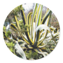Agave Cactuses stickers