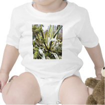 Agave Cactuses t-shirts