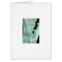 Agave cards