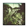 Agave Magnet