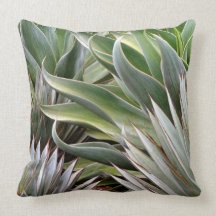 Agave pillow by Debra Lee Baldwin