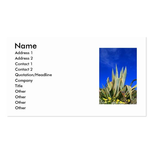 Agave Plant Business Card