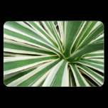 Agave Plant Flexible Magnet