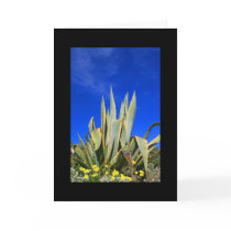 Agave Plant Greeting Card and Note Card by MichaelFelix Agave Plant Greeting Card and Note Card