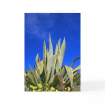 Agave Plant Greeting Card,Note Card by MichaelFelix Agave Plant Greeting Card,Note Card